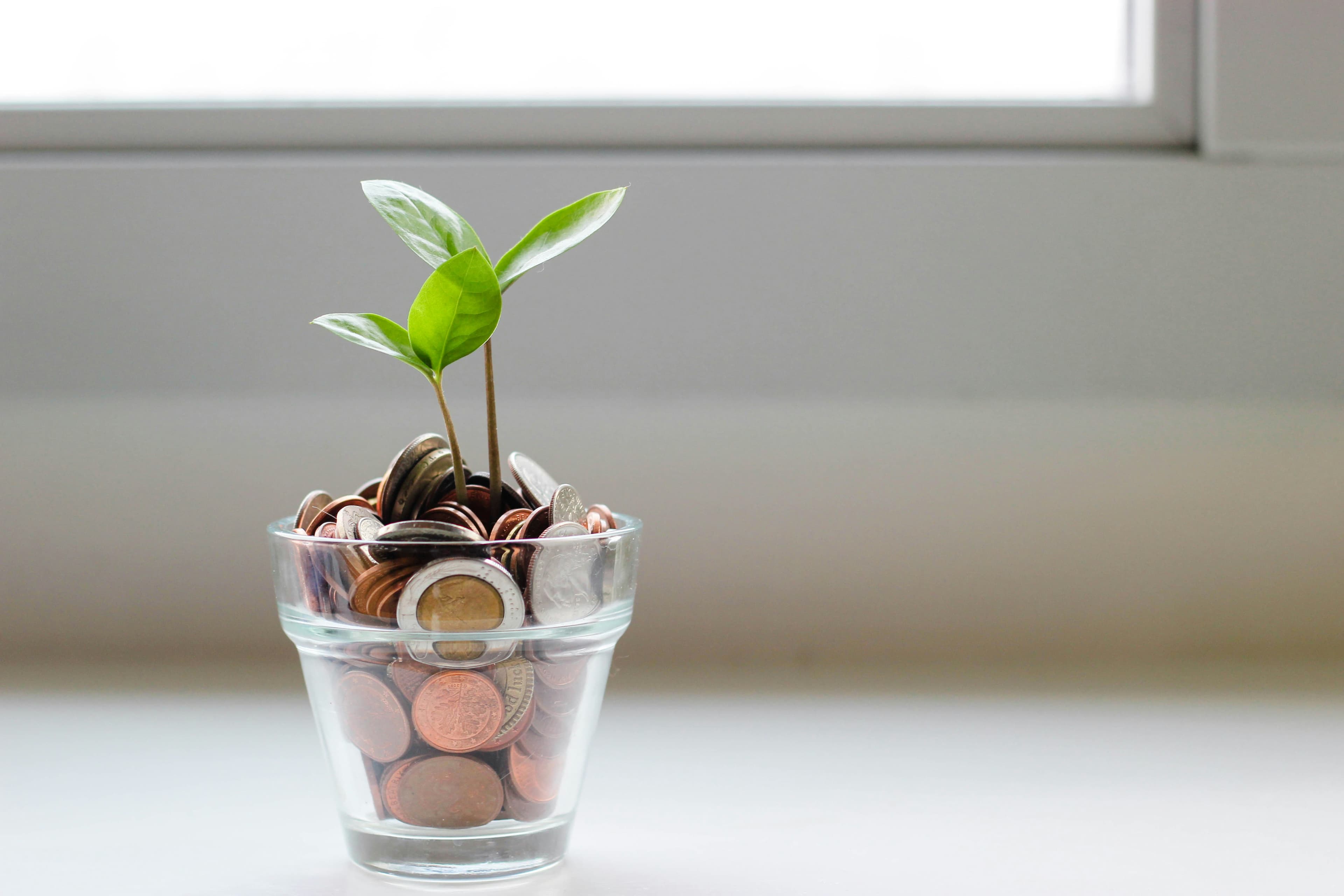 A small plant growing out of a cup full of coins